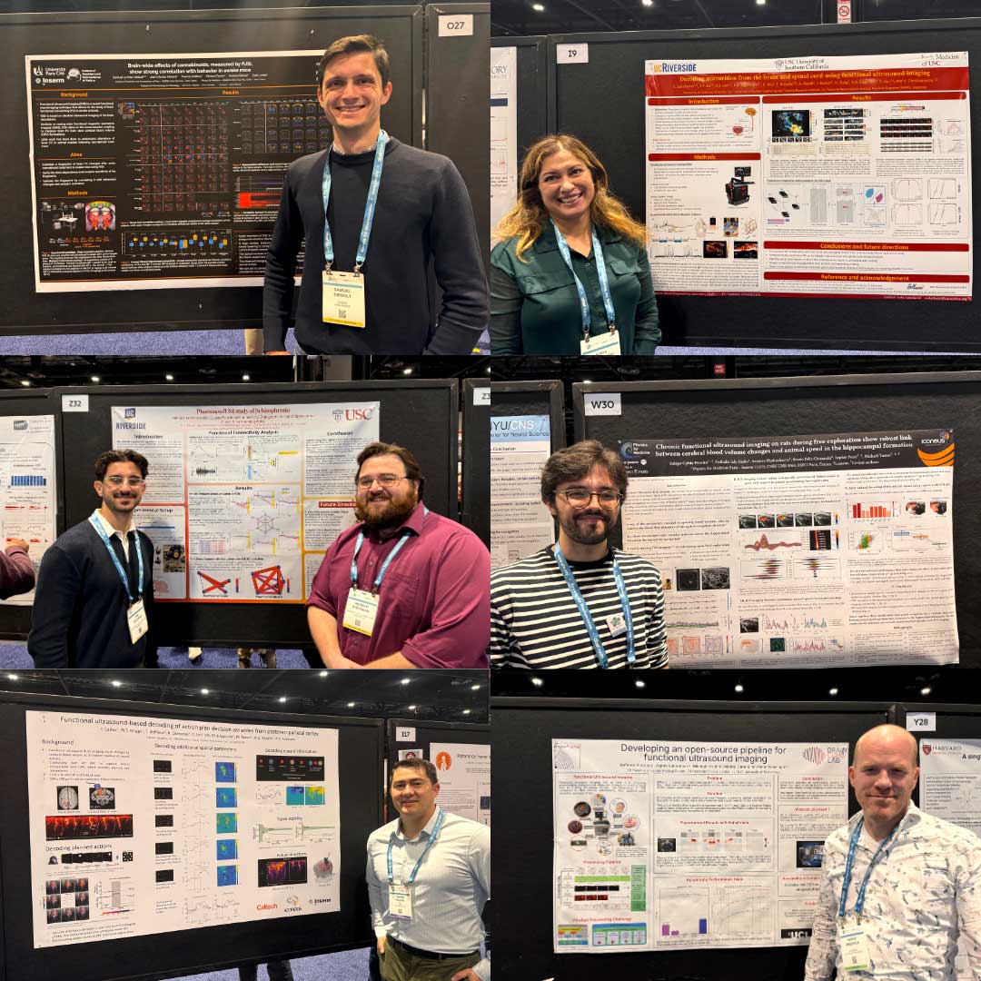 A packed program for fUS at SfN 2024. Iconeus